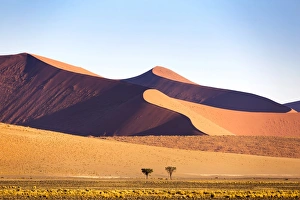 Africa, Namibia, Namib Desert, Sossusvlei, dunes at sunrise Africa, Namibia, Namib Desert, Sossusvlei, dunes at sunrise