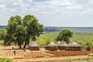 Africa, Zimbabwe, Matabeleland north. A traditional rural homestead Africa, Zimbabwe, Matabeleland north. A traditional rural homestead