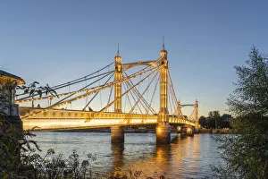 Prints of Albert Bridge illuminated at night, London, England, UK Bridge Prints: Albert Bridge Print at Night, London