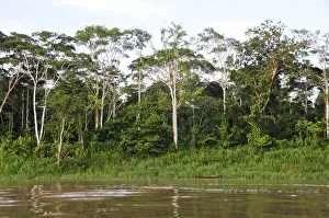 Amazon River, near Puerto Narino, Colombia Amazon River, near Puerto Narino, Colombia