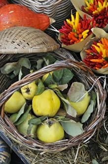 Apple quince and chillies. Campo de Fiori food market. Rome, Italy Apple quince and chillies. Campo de Fiori food market. Rome, Italy