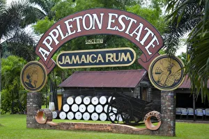 Appleton Estate Rum, St. Elizabeth Parish, Jamaica, Caribbean Appleton Estate Rum, St. Elizabeth Parish, Jamaica, Caribbean