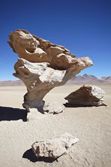 Arbol de Piedra (Stone Tree) in Altiplano, Potosi Department, Bolivia Arbol de Piedra (Stone Tree) in Altiplano, Potosi Department, Bolivia