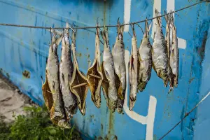 Prints of Armenia, Lake Sevan, Sevan, fish shacks selling smoked fish Lake Prints: Armenia Print: Smoked Fish at Sevan Lake Shacks