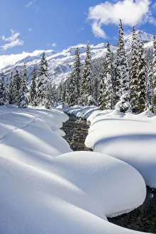 North American Mountain Scenery Prints: Asulkan valley after a winter snowfall. Roger pass, British Columbia, Canada