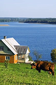 Aukstaitija National Park - Land of lakes and hills Aukstaitija National Park - Land of lakes and hills