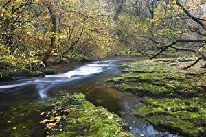 Autumn scenery by the Nedd Fechan River near Ystradfellte, Brecon Beacons National Park Autumn scenery by the Nedd Fechan River near Ystradfellte, Brecon Beacons National Park