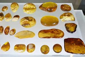 Baltic amber, the gold of the Baltic, in the Amber museum. Gdansk, Poland Baltic amber, the gold of the Baltic, in the Amber museum. Gdansk, Poland