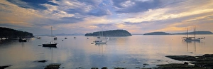 Acadia National Park Prints: Bar Harbor, Mt