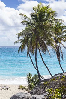 Bottom Bay Barbados Print, AWL Collection