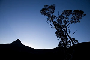 Barn Bluff seen from Waterfall Valley on the Overland Track Barn Bluff seen from Waterfall Valley on the Overland Track