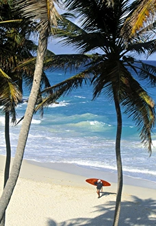 Caribbean Vacation Spots Prints: Bottom Bay