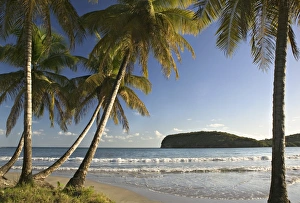 Beach, La Sagesse Estate, Grenada, Caribbean Beach, La Sagesse Estate, Grenada, Caribbean