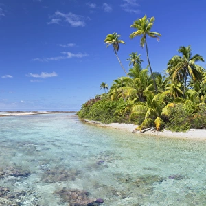 Beach at Tetamanu, Fakarava, Tuamotu Islands, French Polynesia Beach at Tetamanu, Fakarava, Tuamotu Islands, French Polynesia