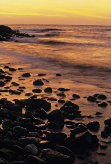 Baltic Sea Beaches Prints: Beach and waves