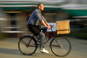 Belgium, Flanders, Antwerp; A man cycling, a common form of transport in the city Belgium, Flanders, Antwerp; A man cycling, a common form of transport in the city