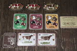 Best cow awards on the wall of a cowshed, Emmental Valley, Berner Oberland, Switzerland Best cow awards on the wall of a cowshed, Emmental Valley, Berner Oberland, Switzerland