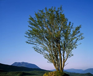 Scottish Highlands Prints: Black Mount