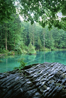 Bernese Oberland Tourism Prints: Blausee, Kandersteg