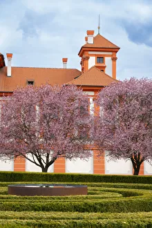 Blooming trees in garden of Troja Chateau in spring, Prague, Bohemia, Czech Republic Blooming trees in garden of Troja Chateau in spring, Prague, Bohemia, Czech Republic
