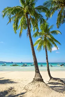 Boats and palm trees on White Beach, Boracay Island, Aklan Province, Western Visayas Boats and palm trees on White Beach, Boracay Island, Aklan Province, Western Visayas