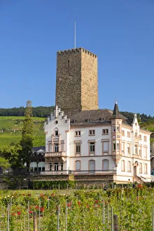 Boosemburg Castle, Rudesheim, Rhineland-Palatinate, Germany Boosemburg Castle, Rudesheim, Rhineland-Palatinate, Germany