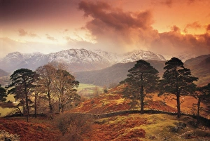 Borrowdale, Lake District, Cumbria, England