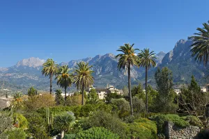 Botanical Garden in Soller, Serra de Tramuntana, Majorca, Balearics, Spain Botanical Garden in Soller, Serra de Tramuntana, Majorca, Balearics, Spain