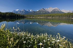 Banff National Park Images Prints: Bow Mountain Range and Herbert Lake