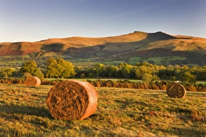 Bracken bales on Mynydd Illtud Common, looking towards Corn Du and Pen y Fan in the Bracken bales on Mynydd Illtud Common, looking towards Corn Du and Pen y Fan in the