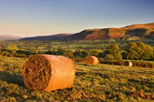 Bracken bales on Mynydd Illtud Common in the Brecon Beacons National Park, Powys, Wales Bracken bales on Mynydd Illtud Common in the Brecon Beacons National Park, Powys, Wales
