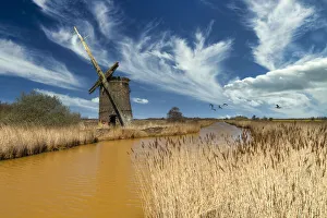 Brograve Mill, Norfolk Broads National Park, England Brograve Mill, Norfolk Broads National Park, England