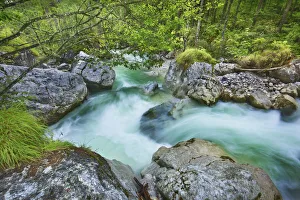 Bavaria Forest Scenery Prints: Brook in deciduous forest - Germany, Bavaria, Upper Bavaria, Berchtesgadener Land, Ramsau