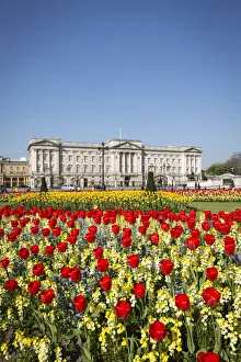 Buckingham Palace, London, England, UK Buckingham Palace, London, England, UK