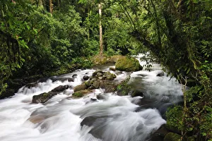 Caldera Creek in Boquete, Panama, Central America Caldera Creek in Boquete, Panama, Central America