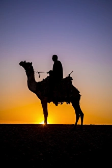 Camel in the desert near Giza, Cairo, Egypt Camel in the desert near Giza, Cairo, Egypt
