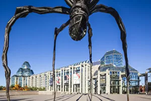 Louise Bourgeois Collection: Canada, Ontario, Ottowa, capital of Canada, National Gallery and Maman sculpture