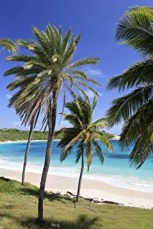 Caribbean, Antigua and Barbuda, Halfmoon Bay Caribbean, Antigua and Barbuda, Halfmoon Bay