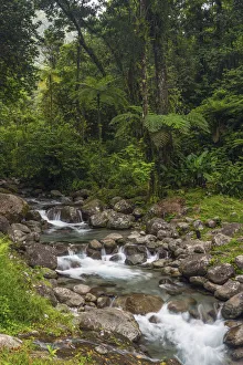 Caribbean, Martinique, Route de la Trace, Riviere Blanche, Alma Waterfall at Pont Caribbean, Martinique, Route de la Trace, Riviere Blanche, Alma Waterfall at Pont