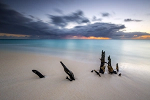 Leeward Islands Scenery Prints: Caribbean sunset frames tree trunks on Ffryers Beach, Antigua and Barbuda, Leeward Islands