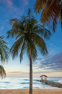 Caribbean, Trinidad and Tobago, Tobago, Sandy Point Caribbean, Trinidad and Tobago, Tobago, Sandy Point