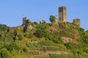 Rhineland Palatinate Castles Prints: Castleruin Metternich at Beilstein, Mosel valley, Rhineland-Palatinate, Germany