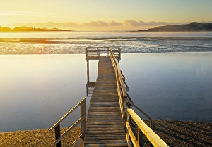 South Island Coastal Landscapes Prints: Catlin Coast