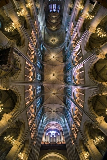 Ceiling of the Notre Dame cathedral, Paris, France Ceiling of the Notre Dame cathedral, Paris, France