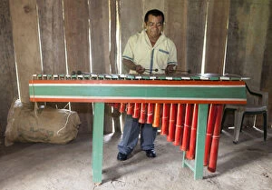 Marimba Collection: Central America, Belize, Toledo, Aguacate, a Qeqchi-Maya man playing the marimba