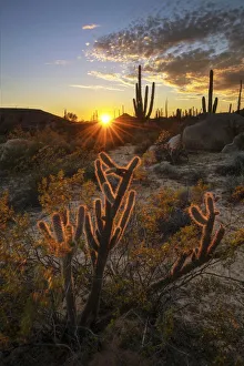 Central America, Mexico, Baja, Baja California, Sur, Catavina sunset Central America, Mexico, Baja, Baja California, Sur, Catavina sunset