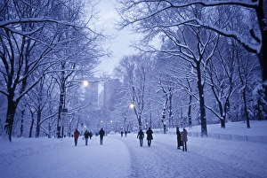 Images Dated 2008: Central Park New York City Print