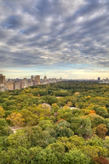 Central Park, Manhattan, New York City, USA Central Park, Manhattan, New York City, USA