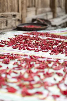 Chillies Drying in Longji, China Print