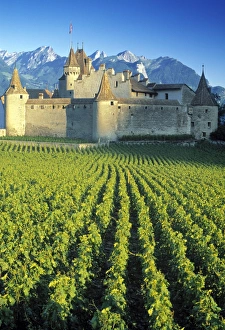 Chillon Castle Switzerland Prints: Chillon Chateau